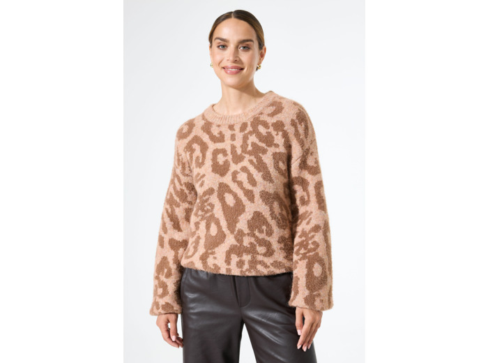 Women Sweater