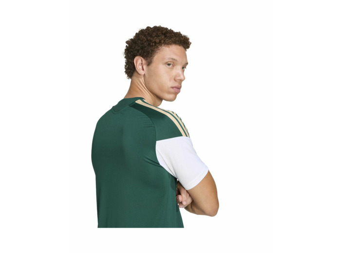 Maillot de football Homme FIGC TR JSY Vert