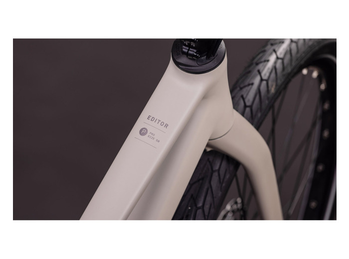 Vélo urbain EDITOR PRO Gris/Gris