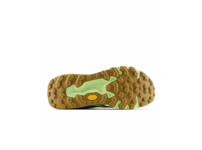 Chaussures de trail Homme FRESH FOAM X HIER Vert