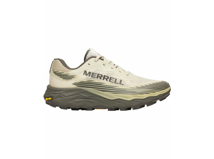 Chaussures de trail Homme AGILITY PEAK 6 Beige
