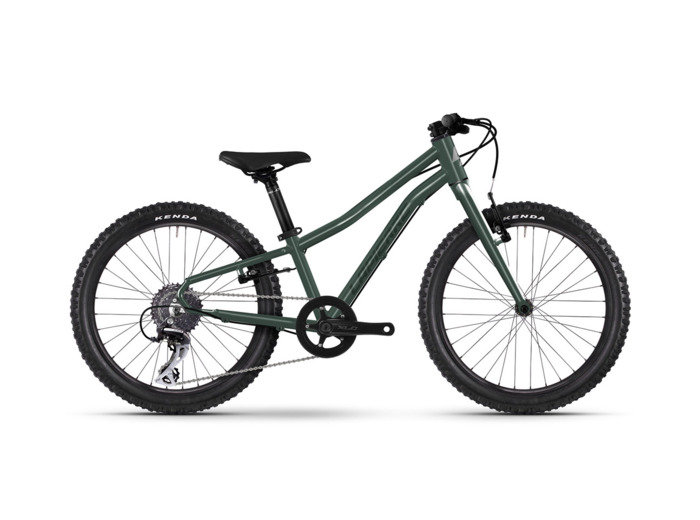 Vélo Enfant PRORACE 20 SL Vert