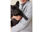 Manteau mi-long tailleur gris clair