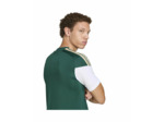 Maillot de football Homme FIGC TR JSY Vert