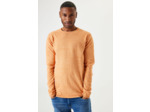 Men Sweater