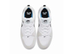 NIKE SB ALLEYOOP