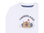 TEE-SHIRT MANCHES LONGUES
