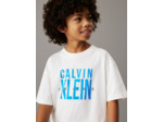 T-SHIRT GRAPHIQUE