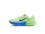 NIKE VOMERO 18
