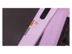 Vélo de gravel NUROAD C:62 SLX Rose/Orange