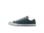 Chuck Taylor All Star Ox True Nature