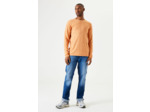 Men Sweater