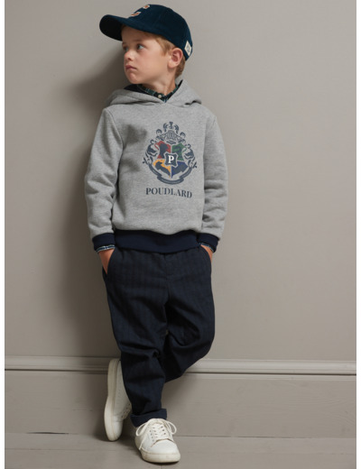 Sweat Capuche Hp