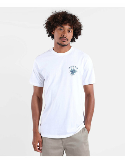 T-shirt Homme Blanc