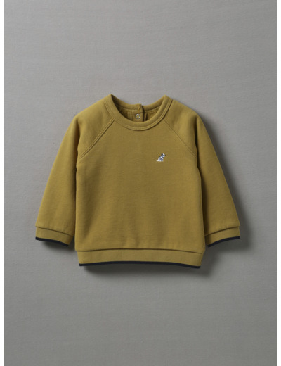 Sweat Chien