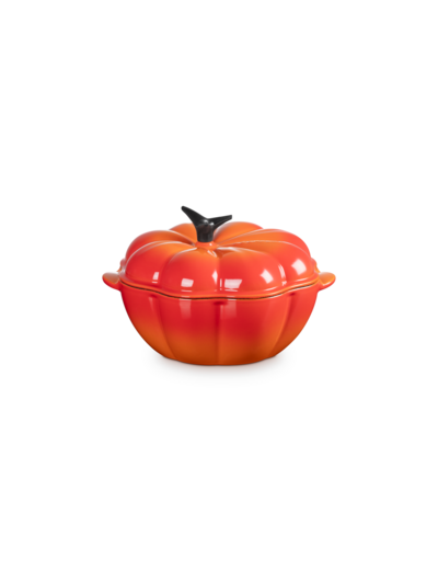 Cocotte potiron ronde 22cm en fonte émaillée volcanique