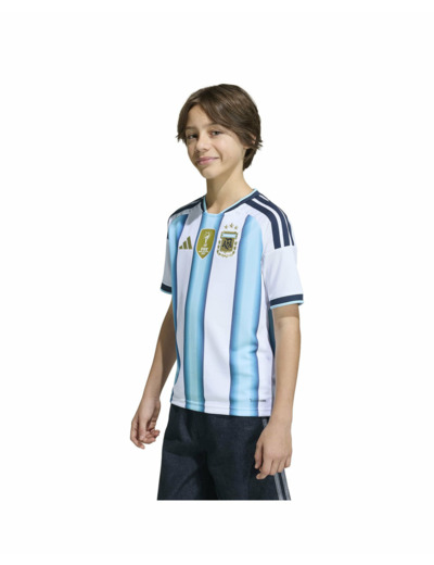 Maillot de football Homme AFA H JSY Y D Bleu