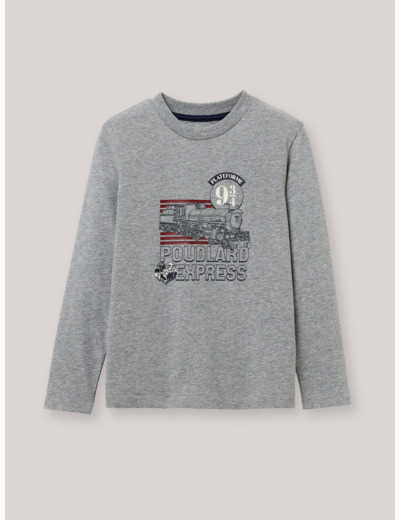 T-SHIRT  HP