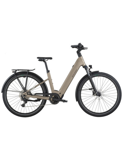 Vélo urbain/trekking électrique E-HORIZON SPORT 30 WAVE Argent Chaud