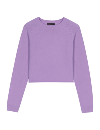 Pull court en cachemire