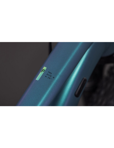 VTT semi rigide AIM PRO Gris